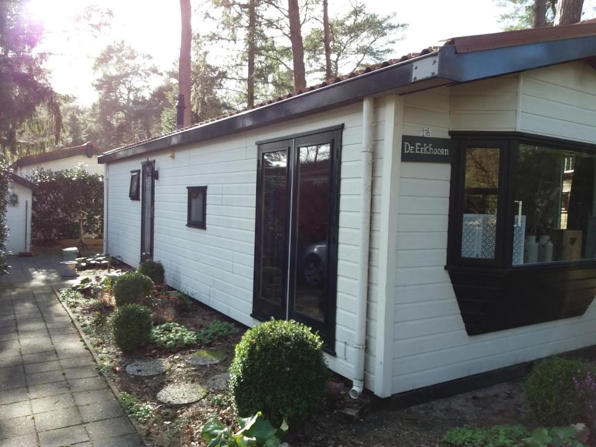Chalet De Eekhoorn Diever Esterno foto