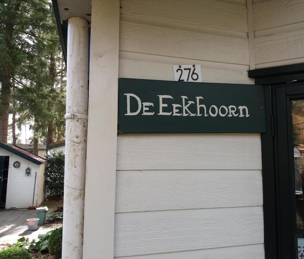 Chalet De Eekhoorn Diever Esterno foto